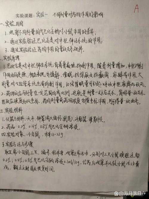 可不可以干湿：探究不同环境下的物品状态变化及影响因素